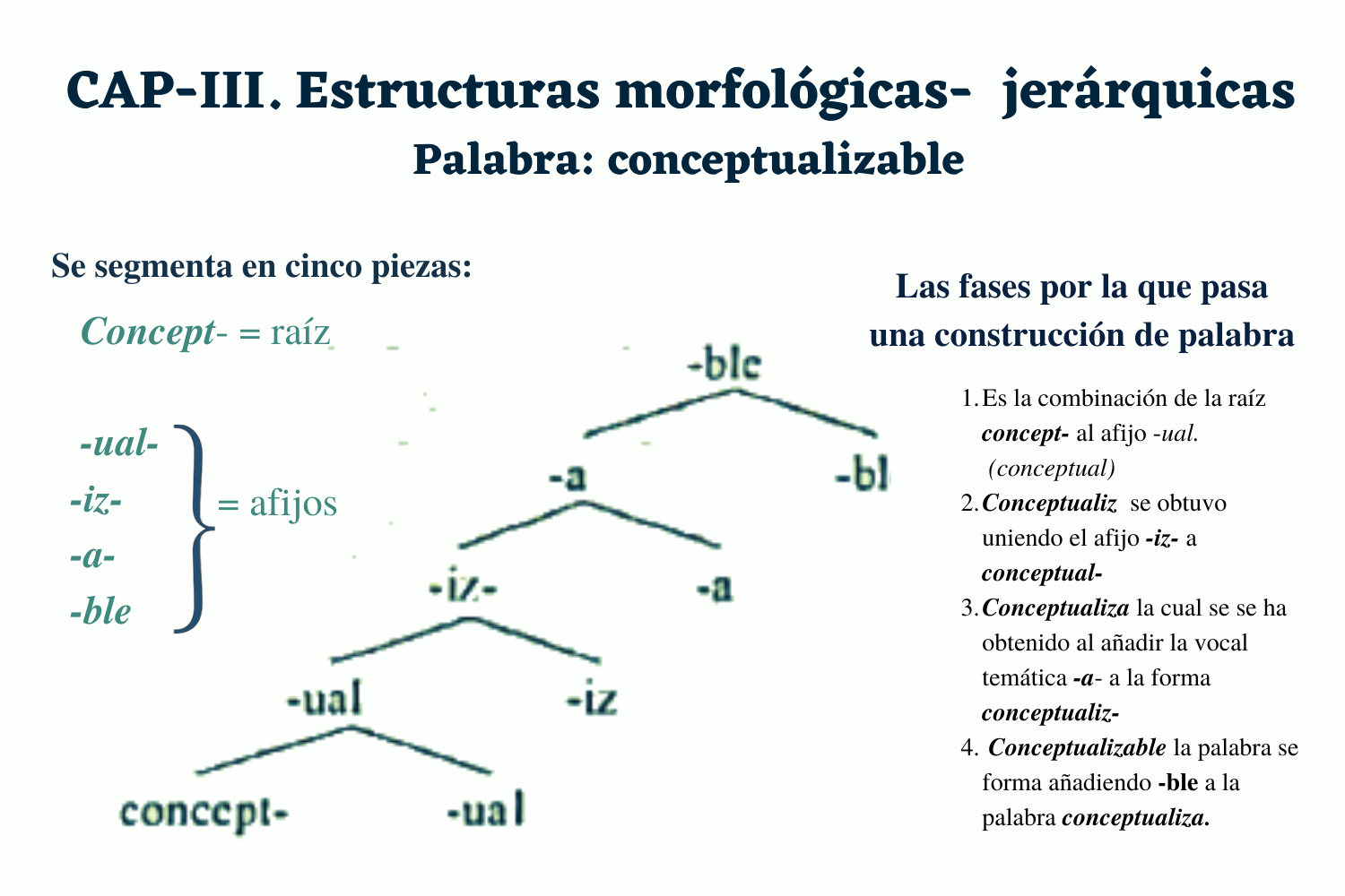 Estructura morfológica jerárquica 