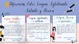 Infografías de  las lengua Aglutinante, Aislante y Flexiva